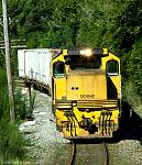 F51T2448-aikens wee train apr 11 08 mk2.JPG